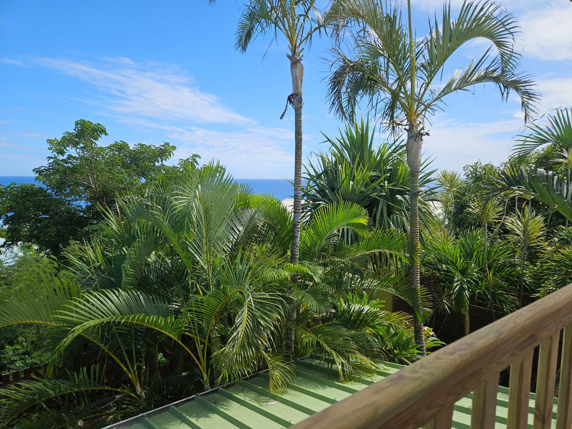 L'Ile En Ylang Appartement Saint-Leu Buitenkant foto